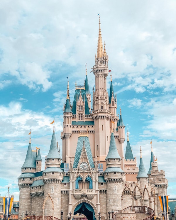 Disney castle